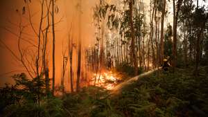 Incêndio