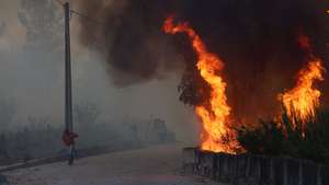 Incêndio em Penalva de Castelo, Viseu, a 16 de setembro de 2024