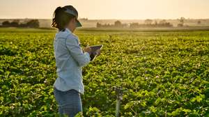 Agricultura