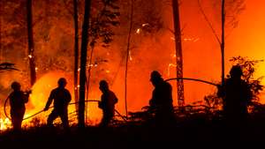 Incêndio em Pedrógão Grande