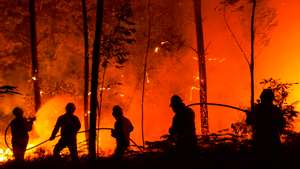 Incêndio em Pedrógão Grande