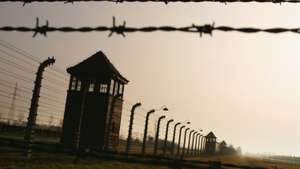 Auschwitz