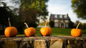 A fall feature photo in Middleburg, Virginia on October 11, 2016.