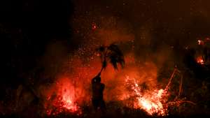 Incêndio em Trancoso, Guarda