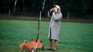 GBR: Queen Elizabeth II in Windsor Park