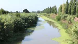 Rio Lis, Leiria