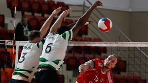 Sporting voleibol Benfica