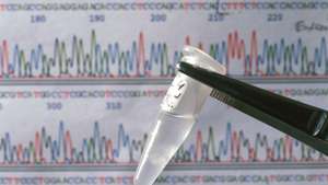 ADN