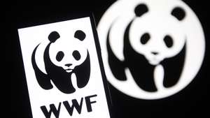 WWF Logótipo