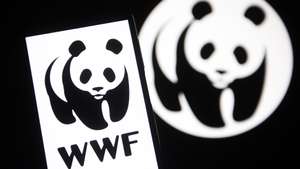 WWF Logótipo