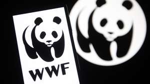 WWF Logótipo