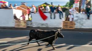 GettyImages-1553709439