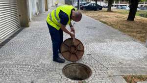 Reportagem em Águas Santas sobre praga de baratas