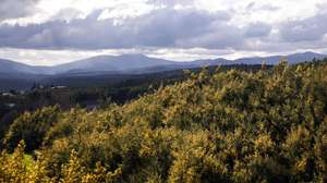 Serra da Estrela