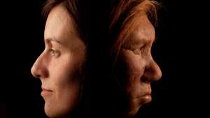 Mulher neandertal