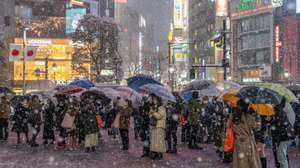 Nevão em Tóquio, na quinta-feira, 6 de janeiro, a primeira queda de neve este inverno e o primeiro nevão em quatro anos