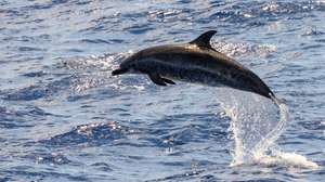 Tourism in Madeira Island