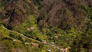 A valley with houses and terraced fields in the interior of
