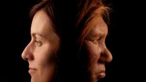 Mulher neandertal