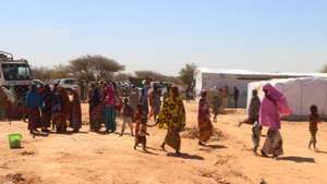 Terror attacks in Niger