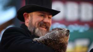 Phil, a mascote de Punxsutawney , nos EUA, no Dia da Marmota