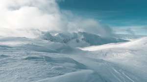 Winter landscape