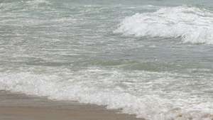 Cidadãos aproveitam o calor que se faz sentir na praia de Matosinhos, 02 de maio 2023. A continuação de temperaturas elevadas, ausência de precipitação e perigo de incêndio muito elevado são algumas das previsões do Instituto Português do Mar e das Atmosfera (IPMA) para os próximos meses. ESTELA SILVA/LUSA