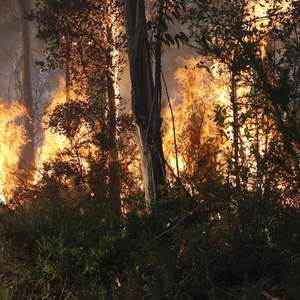 Bombeiros combatem o incêndio florestal que deflagrou ao início da tarde na zona de Eirol/Eixo, no concelho de Aveiro, e obrigou ao corte da Autoestrada do Norte (A1), em Aveiro, 18 de setembro de 2026. PAULO NOVAIS/LUSA