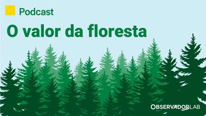 Capa do programa