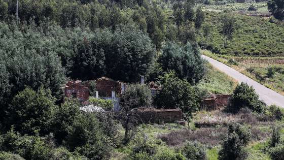 Nas aldeias dos concelhos de Pedrógão Grande, Castanheira de Pêra e Figueiró dos Vinhos ainda são bem visíveis os sinais de destruição  4 anos depois do incêndios de Pedrógão Grande, com casas que continuam destruídas e árvores queimadas por cortar, Castanheira de Pêra,14 de junho de 2021. (ACOMPANHA TEXTO DE 16/06/2021) PAULO NOVAIS/LUSA