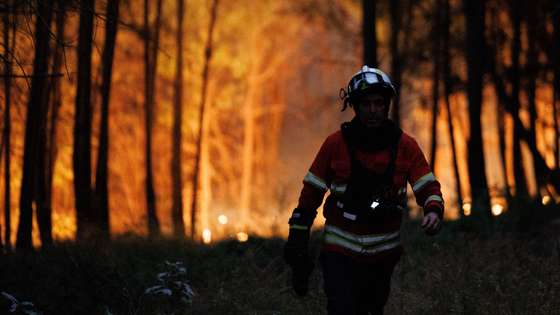 Um bombeiro combate as chamas durante um incêndio em São Martinho da Anta, concelho de Sabrosa, Vila Real, 2 de agosto de 2025. O fogo que começou em São Cibrão, Vila Real, alastrou para o concelho de Sabrosa, onde lavra em duas frentes com alguma intensidade e mobiliza cerca de 240 operacionais. PEDRO SARMENTO COSTA/LUSA
