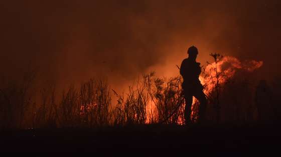 Um bombeiro combate um incêndio na freguesia de Vila Cortês do Mondego, Guarda, 13 de agosto de 2022. De acordo com a página da Autoridade Nacional de Emergência e Proteção Civil, o incêndio está a ser combativo por 1262 operacionais, apoiados por 375 viaturas. NUNO ANDRÉ FERREIRA/LUSA