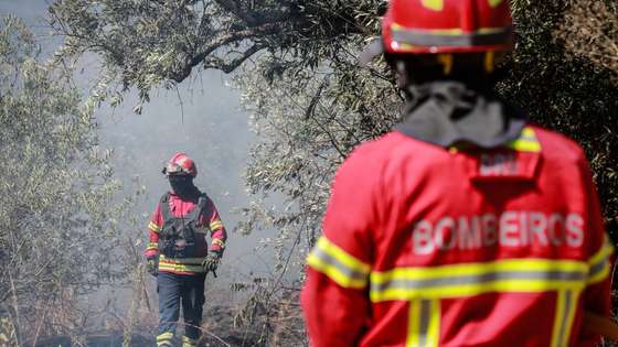 Bombeiros durante a fase de rescaldo do incêndio que defdlagrou na localidade de Silvares,  no concelho do Fundão, Castelo Branco, 14 de setembro de 2024. Segundo a página da Autoridade Nacional de Emergência e Proteção Civil, às 11:05, estavam no terreno 691 operacionais, apoiados por 217 viaturas e sete meios aéreos.
MIGUEL PEREIRA DA SILVA/LUSA