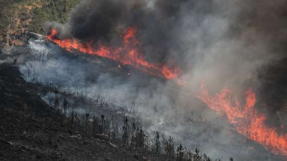 Incêndio na encosta da aldeia de Moura da Serra, Arganil, 14 de agosto de 2025. De acordo com os dados disponíveis no ‘site’ da Autoridade Nacional de Emergência e Proteção Civil (ANEPC), quase 900 operacionais combatiam o fogo que deflagrou na quarta-feira na freguesia de Piódão, no concelho de Arganil, distrito de Coimbra, e se estendeu depois aos municípios de Oliveira do Hospital e Pampilhosa da Serra (Coimbra), e de Seia, já no distrito da Guarda. PAULO CUNHA/LUSA