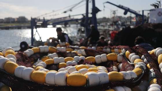 Pescador está desaparecido nos Açores