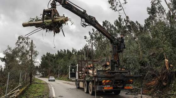 Limpeza de um troço de uma estada com destroços de árvores, em Alvaiázere, 03 de fevereiro de 2026. A passagem da depressão Kristin por Portugal continental, na quarta-feira, dia 28 de janeiro, deixou um rasto de destruição, causando pelo menos cinco mortos, segundo a Proteção Civil, vários feridos e desalojados. MIGUEL A. LOPES/LUSA