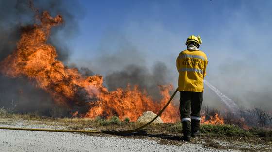 Um bombeiro combate um incêndio na freguesia de Rapa, Celorico da Beira, Guarda, 13 de agosto de 2022. De acordo com a página da Autoridade Nacional de Emergência e Proteção Civil, o incêndio está a ser combativo por 1327 operacionais, apoiados por 392 viaturas e 3 meios aéreos. NUNO ANDRÉ FERREIRA/LUSA