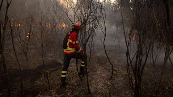 Bombeiros combatem um incêndio em Raiz do Monte, Vila Pouca de Aguiar, 19 de Setembero de 2024. Sete pessoas morreram e cerca de 120 ficaram feridas nos incêndios que atingem desde domingo sobretudo as regiões Norte e Centro do país, nos distritos de Aveiro, Porto, Vila Real, Braga, Viseu e Coimbra, e que destruíram dezenas de casas e obrigaram a cortar estradas e autoestradas. PEDRO SARMENTO COSTA/LUSA