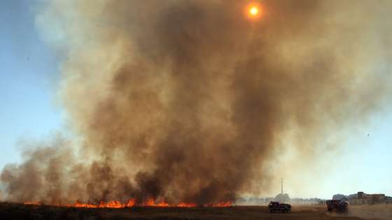 Elementos de várias corporações de bombeiros voluntários combatem um incêndio numa mata da freguesia de Vila Boim, Elvas, 28 de julho de 2021. Segundo a Autoridade Nacional de Emergência e Proteção Civil estão envolvidos no combate ao incêndio 155 bombeiros, 45 meios terrestres, e 5 meios aéreos. NUNO VEIGA/LUSA