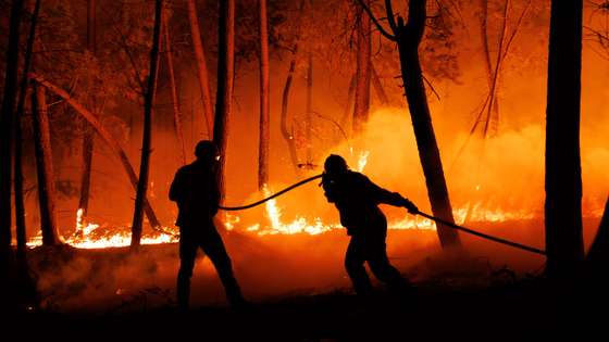 Bombeiros combatem as chamas durante um incêndio em São Martinho da Anta, concelho de Sabrosa, Vila Real, 2 de agosto de 2025. O fogo que começou em São Cibrão, Vila Real, alastrou para o concelho de Sabrosa, onde lavra em duas frentes com alguma intensidade e mobiliza cerca de 240 operacionais. PEDRO SARMENTO COSTA/LUSA