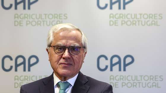 O presidente da Confederação dos Agricultores Portugueses (CAP), Álvaro Mendonça e Moura, posa para a fotografia durante uma entrevista à agência Lusa sobre os 50 anos da confederação, na sede da CAP, em Lisboa, 17 de novembro de 2025. (ACOMPANHA TEXTO DA LUSA DO DIA 23 DE NOVEMBRO DE 2025). TIAGO PETINGA/LUSA