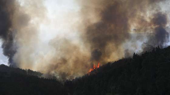 Bombeiros combatem o incêndio em Alvito da Beira, Proença-a-Nova, Castelo Branco, 15 de setembro de 2026. PAULO CUNHA/LUSA