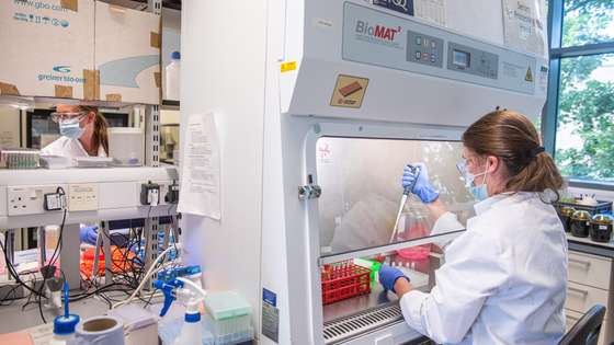 epa08837008 A handout photo dated 26 June 2020 and made available by the Oxford University 23 November 2020, showing employees processing serum at the laboratories of Oxford University to produce a coronavirus vaccine jointly with AstraZeneca, Oxford, United Kingdom. The Oxford University/AstraZeneca coronavirus vaccine has an average efficacy of 70.4 per cent in preliminary results, Oxford University / AstraZeneca announced on 23 November 2020, and can be stored in a standard fridge.  EPA/OXFORD UNIVERSITY / JOHN CAIRNS / HANDOUT  HANDOUT EDITORIAL USE ONLY/NO SALES