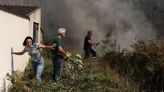 Combate ao incêndio de Albergaria-a-Velha, em Macinhata do Vouga, Águeda, 16 de setembro de 2024. PAULO NOVAIS/LUSA