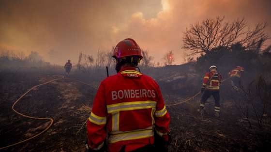 epaselect epa13142729 Firefighters battle the flames during a wildfire in Valpacos, Portugal, 30 July 2026. The fire broke out on 28 July in the municipality of Valpacos and spread to those of Mirandela and Vinhais. Additional resources and personnel have been deployed, according to the Civil Protection Agency.  EPA/PEDRO SARMENTO COSTA