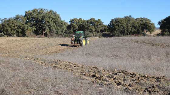 Os agricultores do Planalto Mirandês mostram-se “muito apreensivos” face ao futuro das suas explorações agrícolas e pecuárias devido à “seca severa” que se faz sentir, havendo quem fale em abandonar a produção de gado por falta de alimento, Mogadouro, 29 de janeiro de 2022. Nos concelhos de Mogadouro, Miranda do Douro e Vimioso, no distrito de Bragança,  os produtores  pecuários, agricultores e viticultores têm o desabafo praticamente  comum a todos eles : a terra está seca, não há pastos e a água começa a escassear nos principais pontos de abastecimento agrícola. (ACOMPANHA TEXTO DE 01/02/2022) FRANCISCO PINTO/LUSA