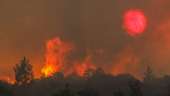 Incêndio em Quebrada de Baixo, freguesia de Freixianda, concelho de Ourém, 09 de julho de 2022. O ministro da Administração Interna destacou hoje a "capacidade de fiscalização" mobilizada no combate aos incêndios, após ter sobrevoado os fogos de Carrazeda de Ansiães e de Ourém, a bordo de uma aeronave P-3C Cup+ da Força Aérea. PAULO CUNHA/LUSA