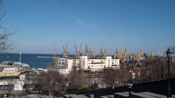 Ukraine cant ship its wheat harvest, that means a food shortage worldwide.