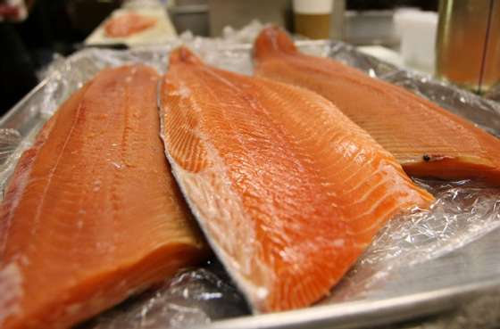 SAN FRANCISCO - APRIL 11:  Fresh wild and  farmed Loch Duart salmon filets are seen on a tray at the San Francisco Fish Company April 11, 2008 in San Francisco, California. The Pacific Fishery Management Council voted Thursday afternoon to cancel the chinook fishing season along the coast of California and Oregon in hopes of reversing the dwindling numbers of salmon. Farmed salmon will be a popular replacement for fresh wild salmon on seafood store shelves during the fishing ban.  (Photo by Justin Sullivan/Getty Images)