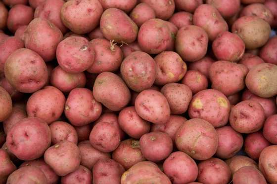 Red potatoes are offered for sale at Eastern Market on Capitol Hill in Washington, DC, on June 27, 2008. According to a survey released on June 26, nearly a quarter of Americans are cutting back their spending on food and healthcare thanks to rising fuel prices. AFP PHOTO/SAUL LOEB (Photo credit should read SAUL LOEB/AFP/Getty Images)